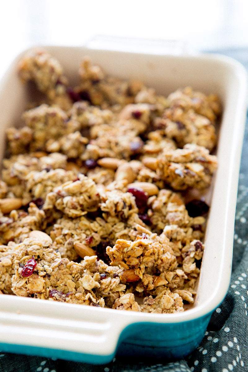 _cranberry_almond_granola_bites_a_house_in_the_hils_-5709