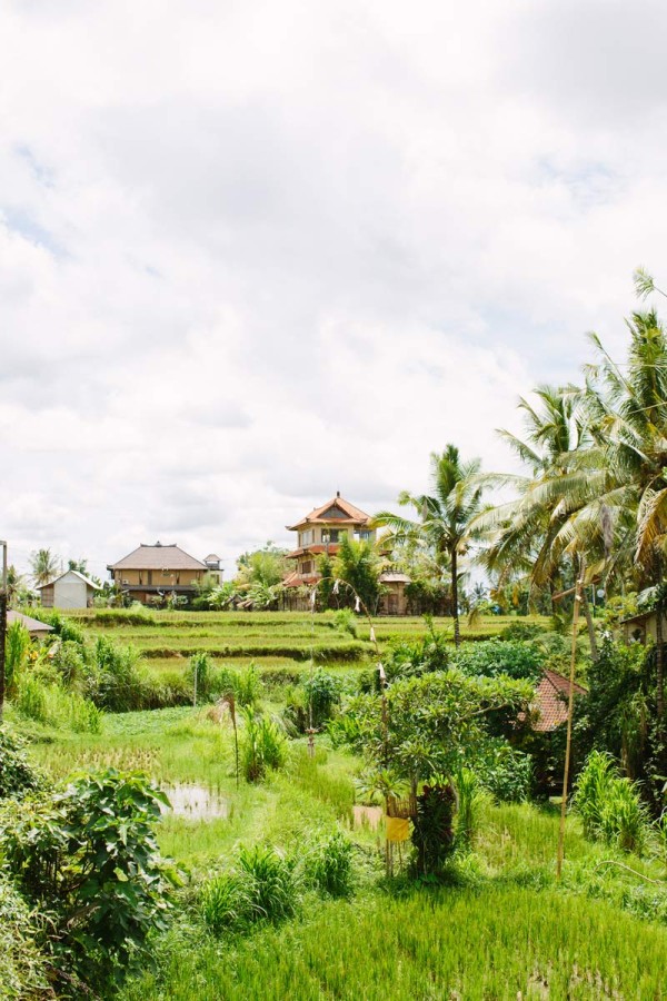 a_house_in_the_hills_bali_2014-83