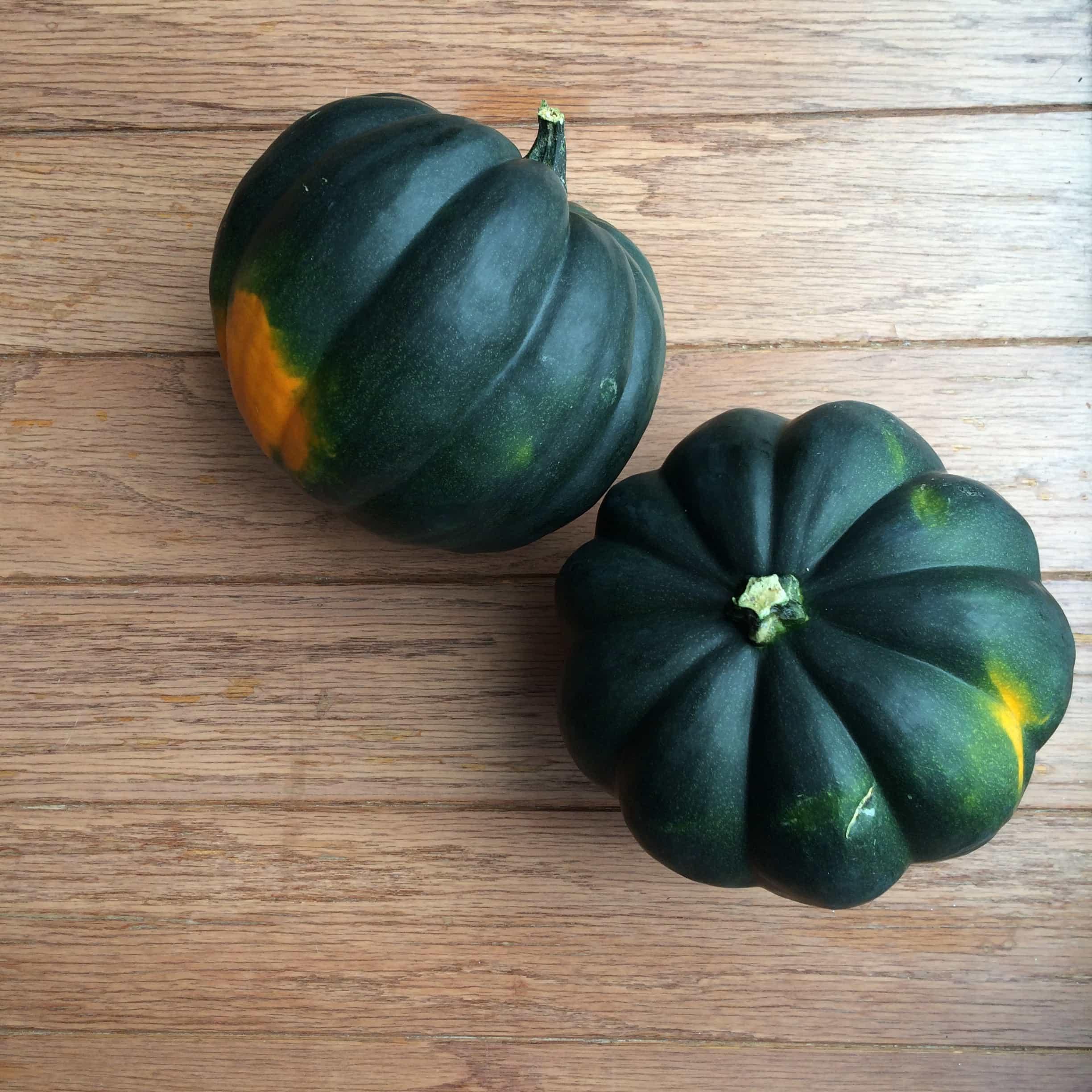 Acorn_Squash