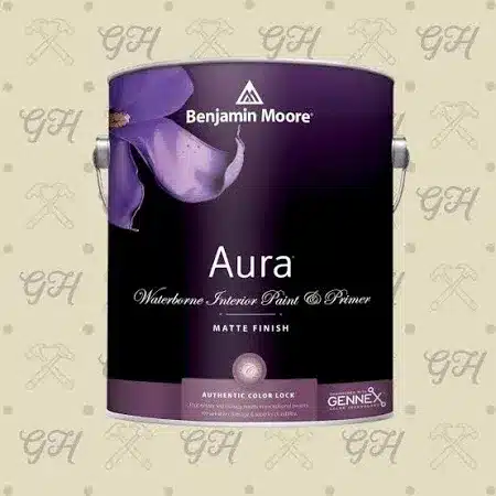 Benjamin_Moore_Aura_Matte_Paint_Onyx