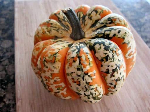 Carnival_Squash