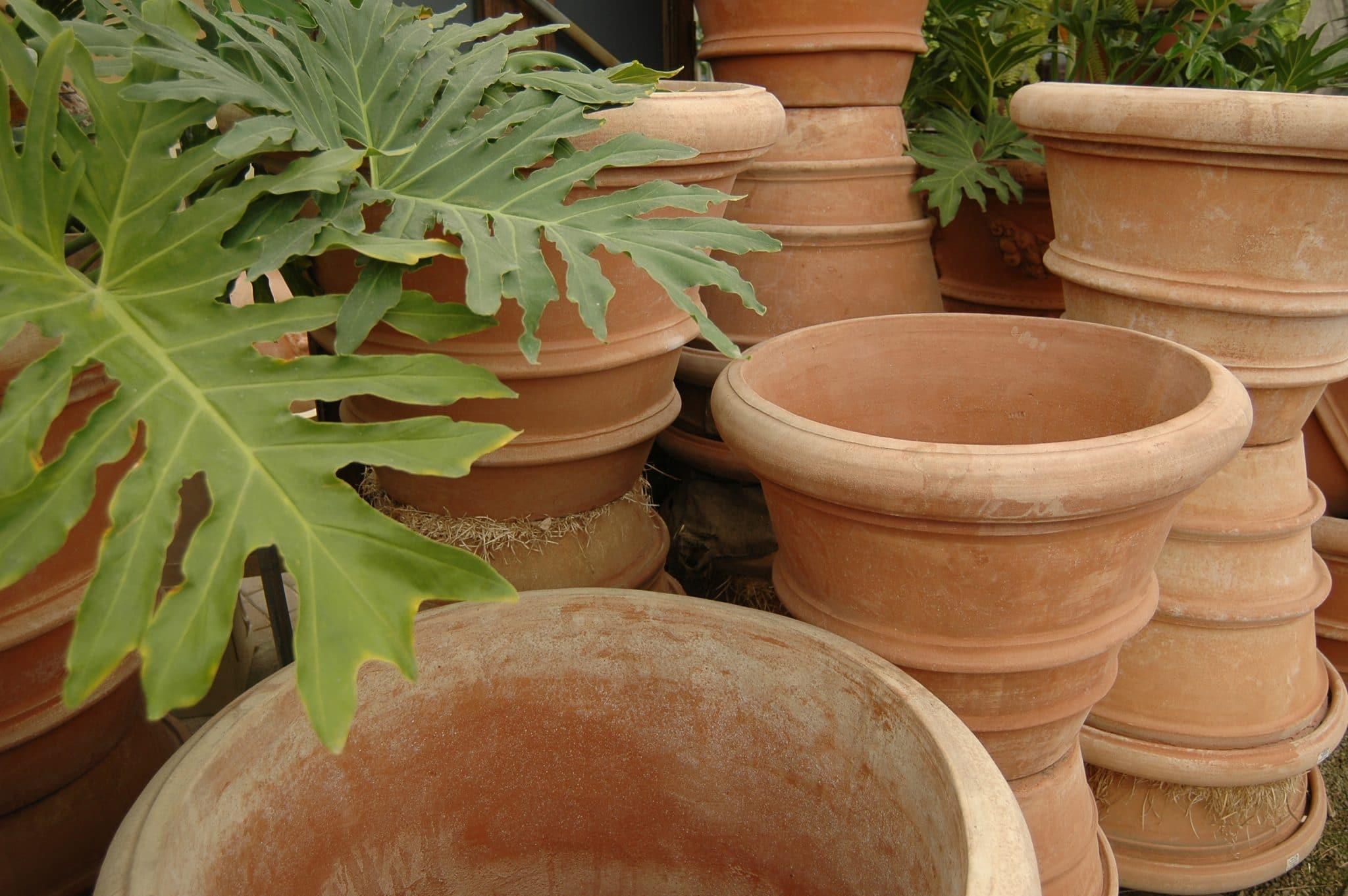 Classic_Terracotta_Planters