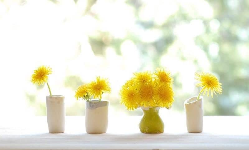 Dandelions_Vases