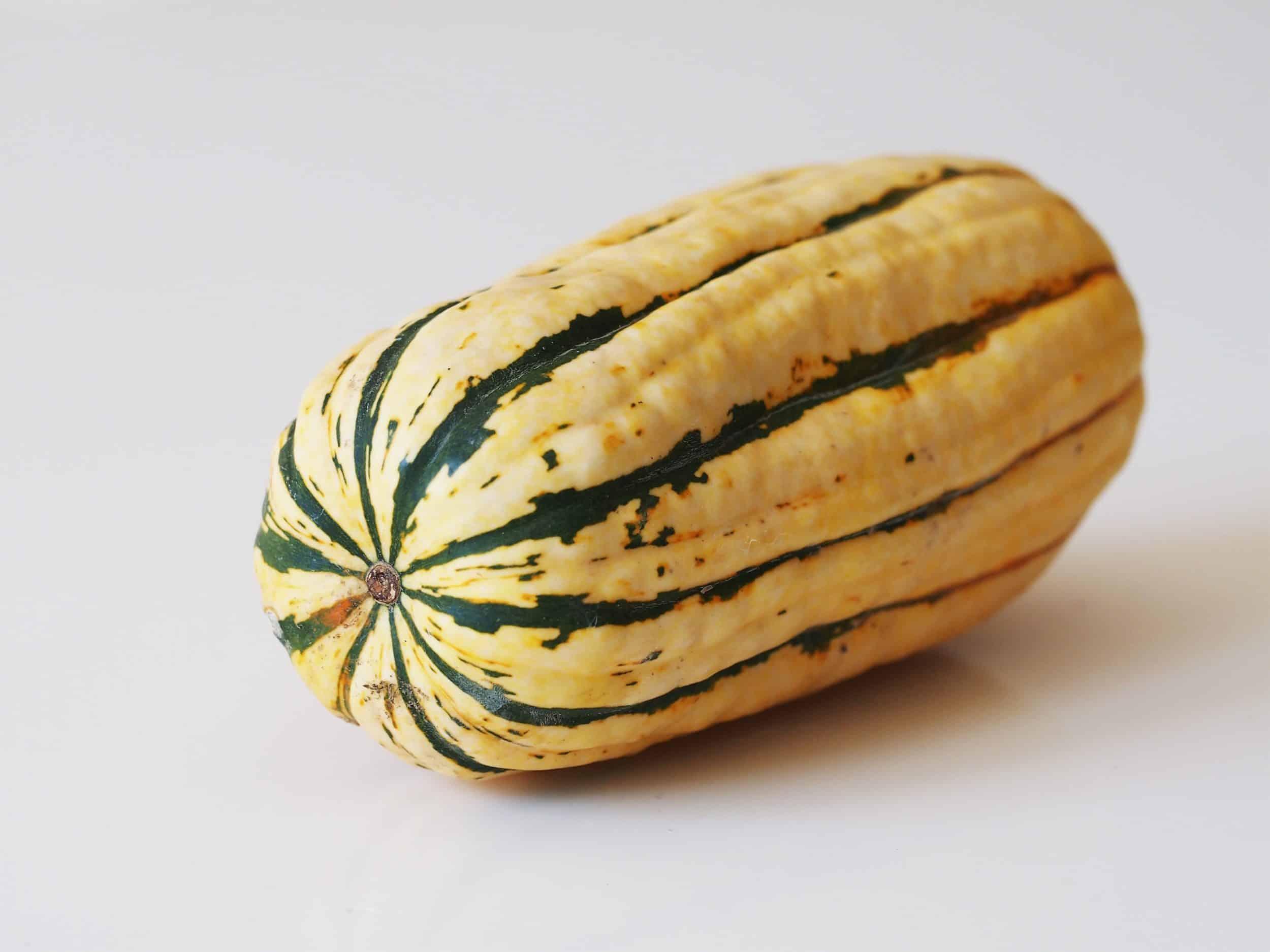 Delicata_Squash