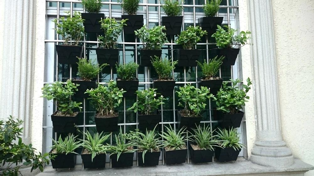 Hanging_Planters_for_Vertical_Gardens