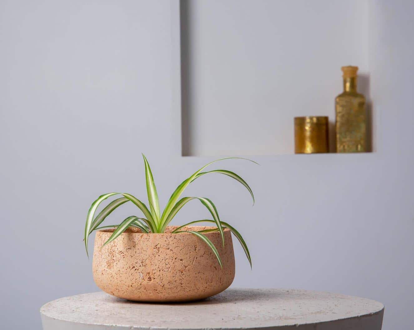 Modern_Concrete_Planters