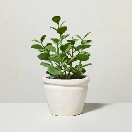 Small_Potted_Plant