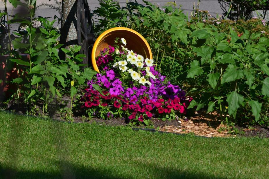 Spilled_Bucket_of_Flowers