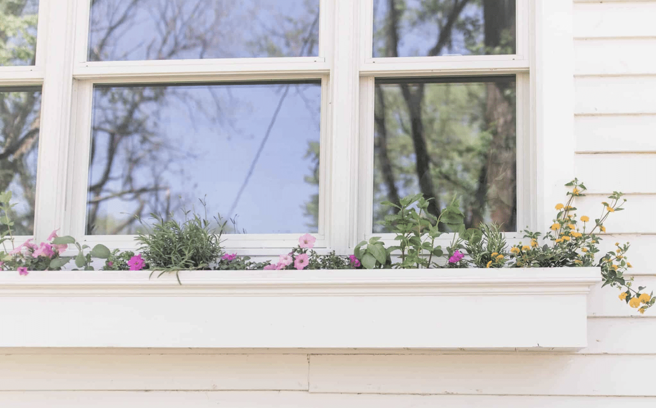 Window_Box_Inside