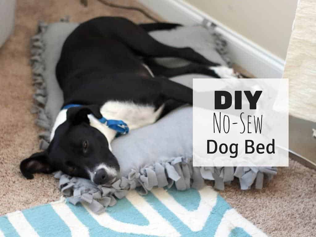 No-Sew_Dog_Bed_Approximate_Cost_Range_-_33-44