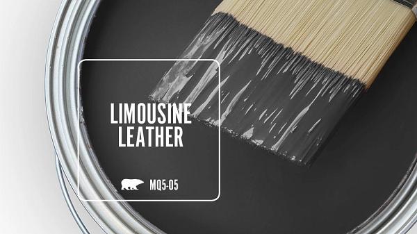 Behr_Premium_Plus_Limousine_Leather_MQ5-05