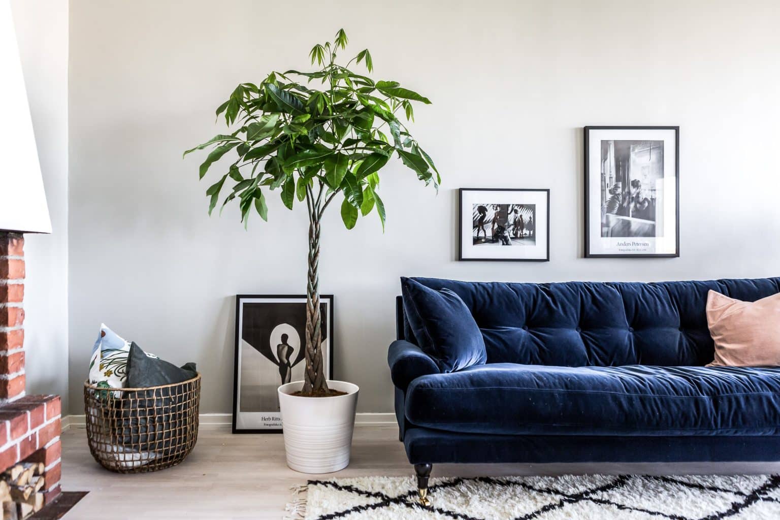22 Ways to Style Blue Velvet Sofa in a Living Room A House in the Hills