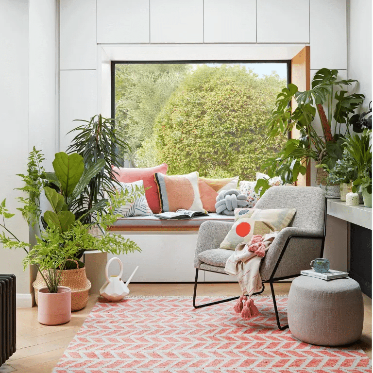 coastal living room with small potted plants 
