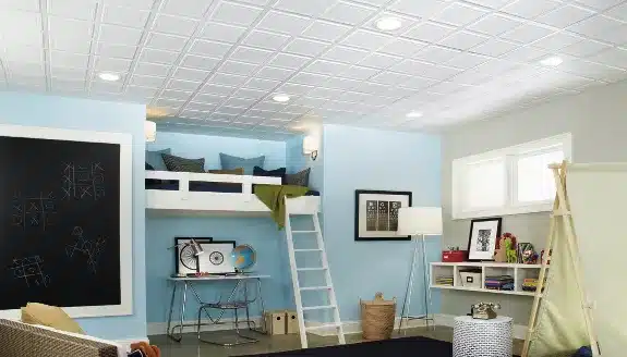 drop house ceilings 