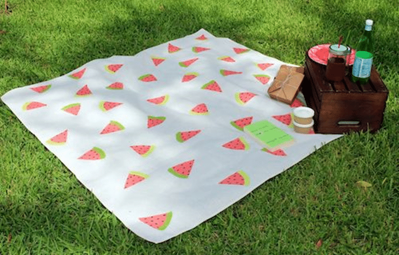 DIY watermelon Picnic Blanket
