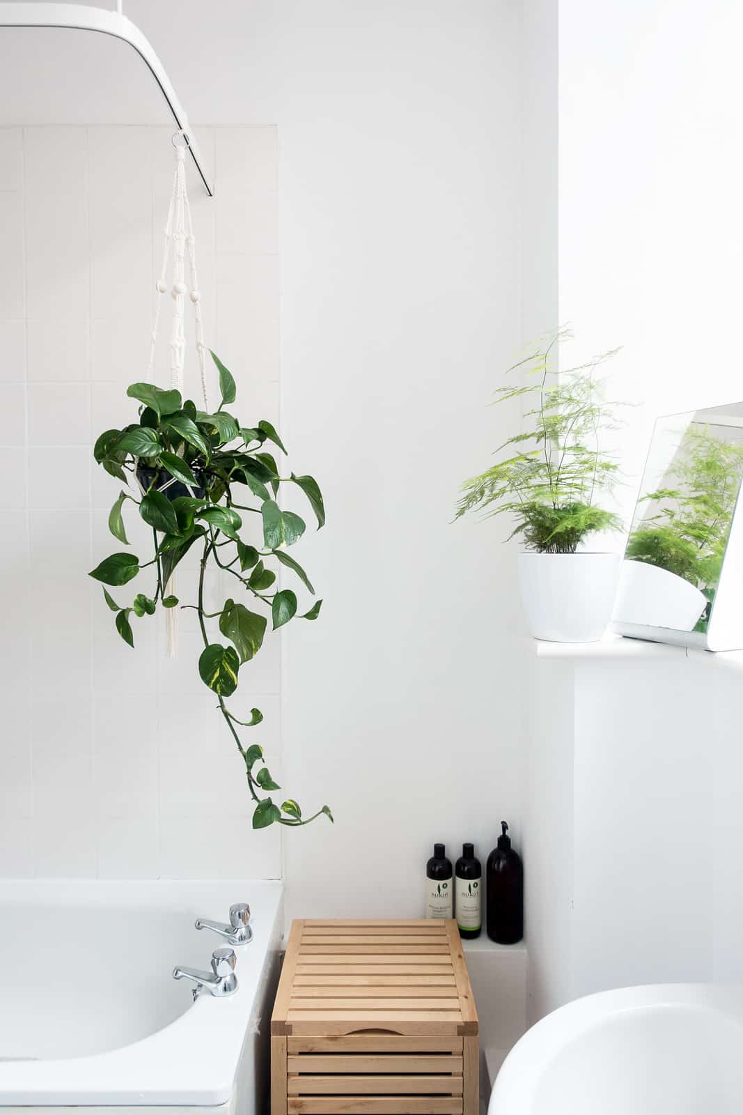 Green Plants Scandinavian bathroom