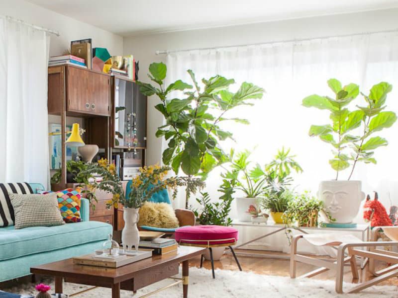Green Plants for California Casual Style