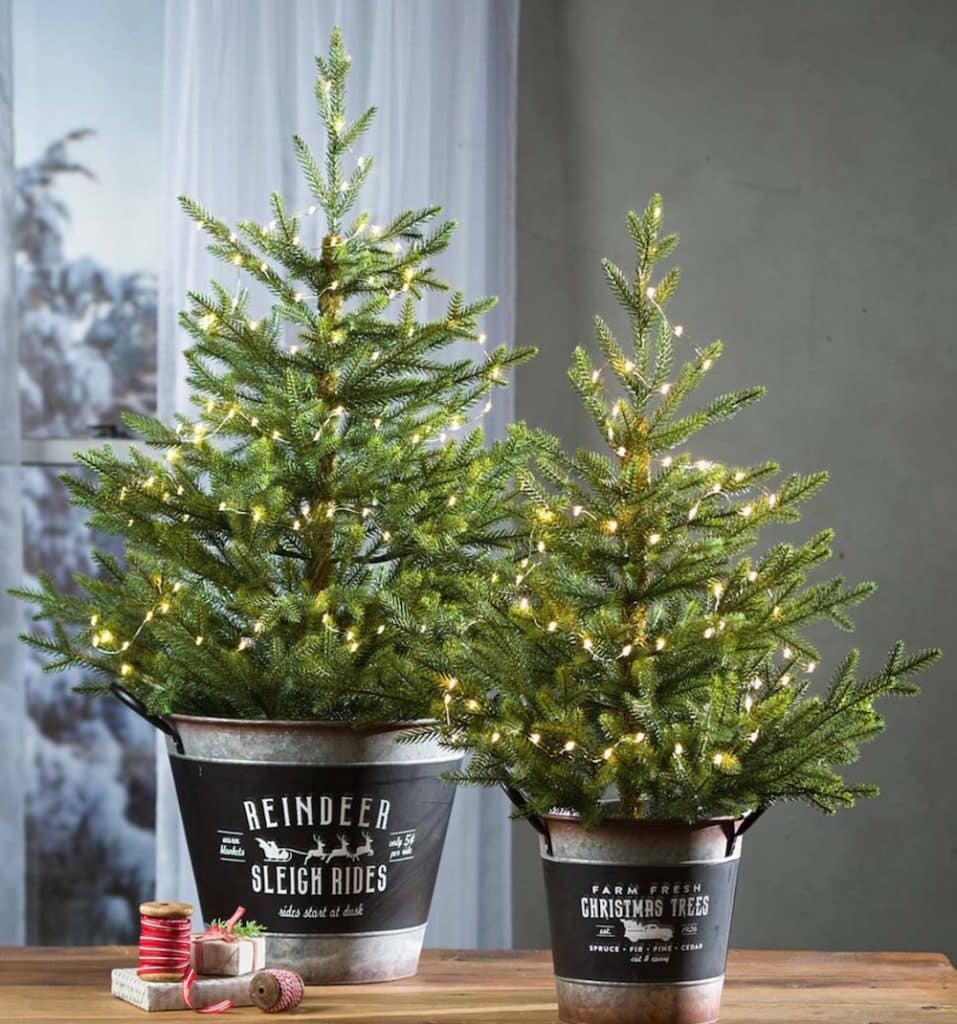 Christmas Tree In a Bucket