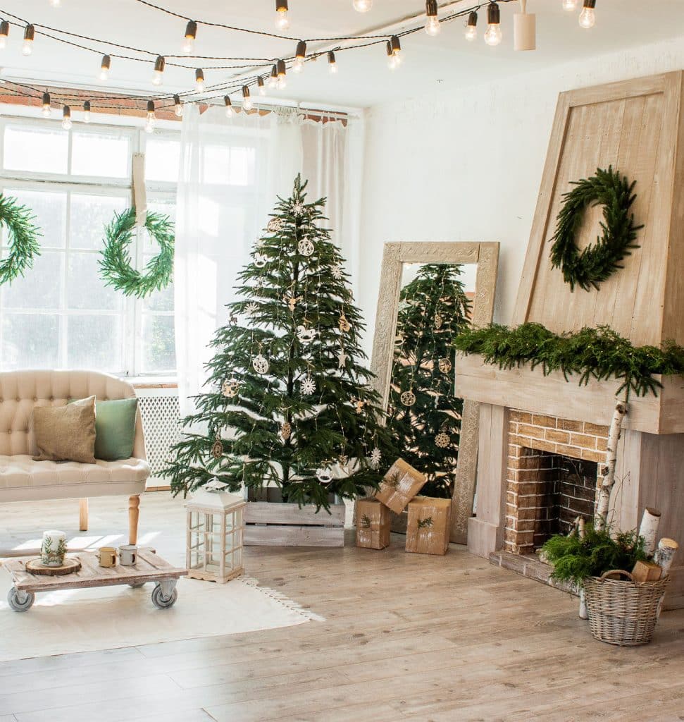 Incorporate Evergreen Foliage In The Living Room