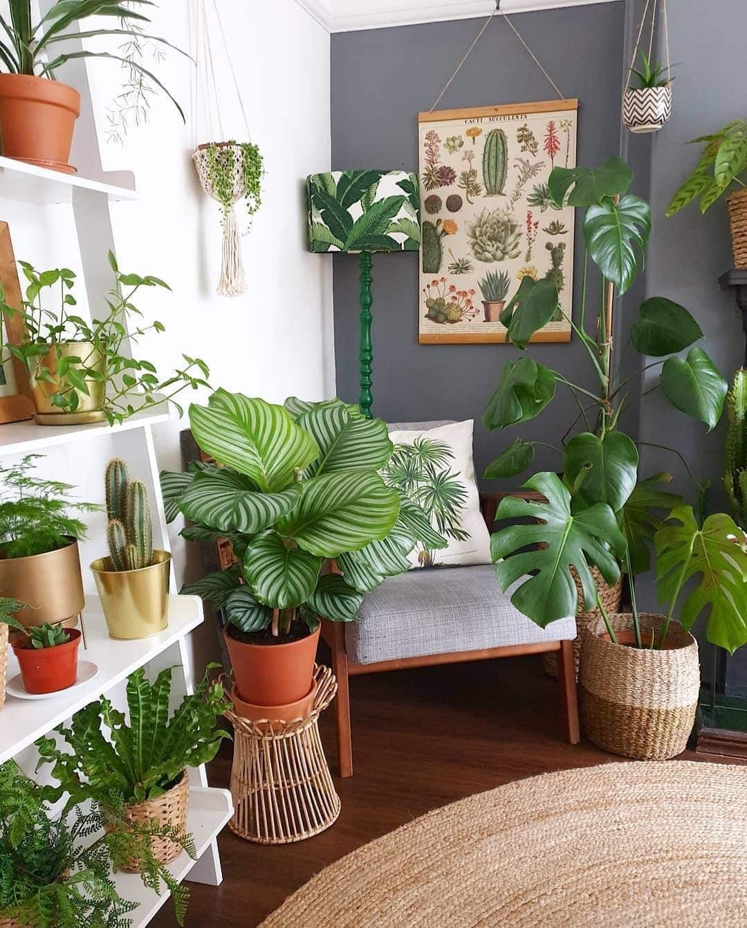 15 Must-Have Items for a Comfortable and Stylish Living Room - A House ...