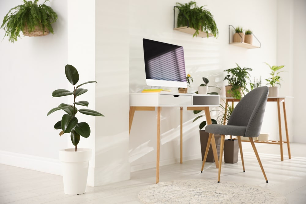 How To Incorporate Biophilic Design Into Your Home Office