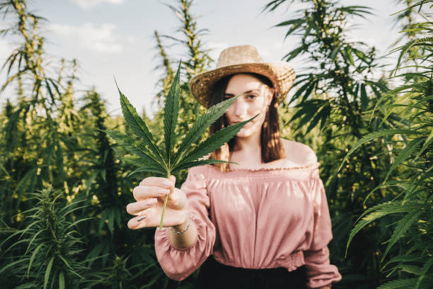 Diving into the World of Hemp Products: Exploring Nature’s Wellness Arsenal