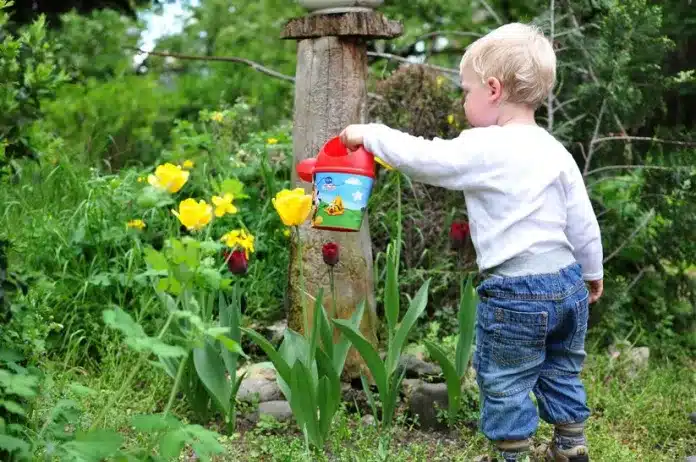 Creating a Child-Friendly Garden: Strategies to Design an Outdoor Space Kids Will Adore