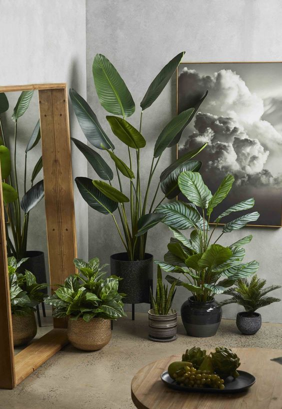 Planting Greens Near the Corners of Your Room-Decor