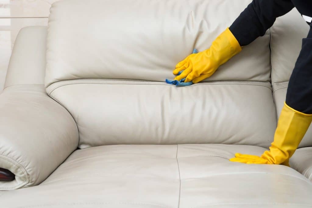 Why Do You Need to Condition Leather Couches?