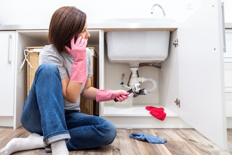 Embracing Homeownership: A Comprehensive Guide to DIY Plumbing Maintenance