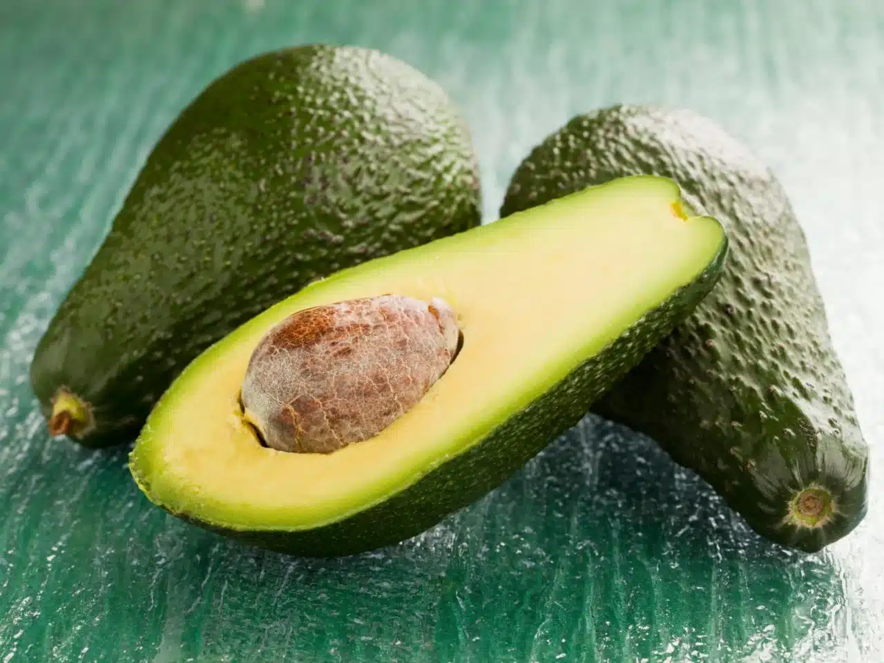 avocado seed