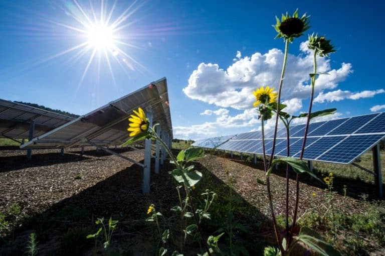 View of The Rise of Renewable Energy Solutions for Homes - A House in the Hills
