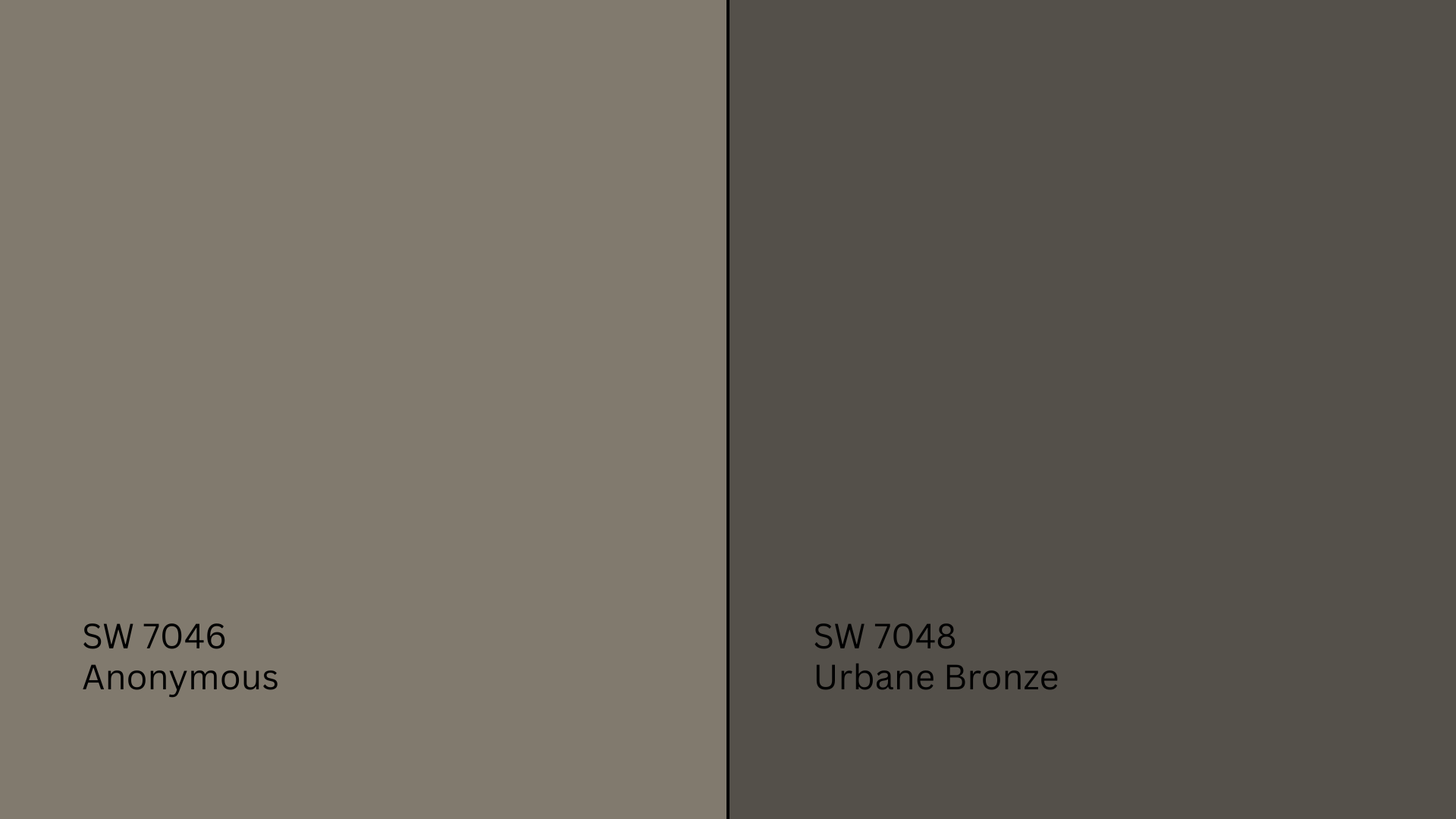 P-Anonymous_vs_Urbane_Bronze