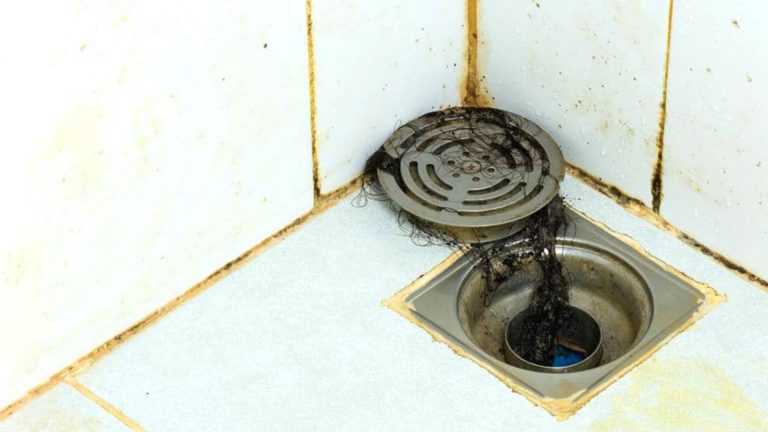 The Top Causes of Blocked Shower Drains and How to Prevent Clogs