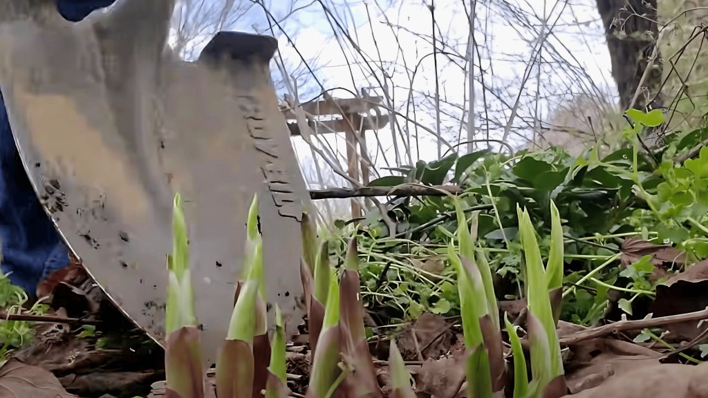 Choose the Right Time