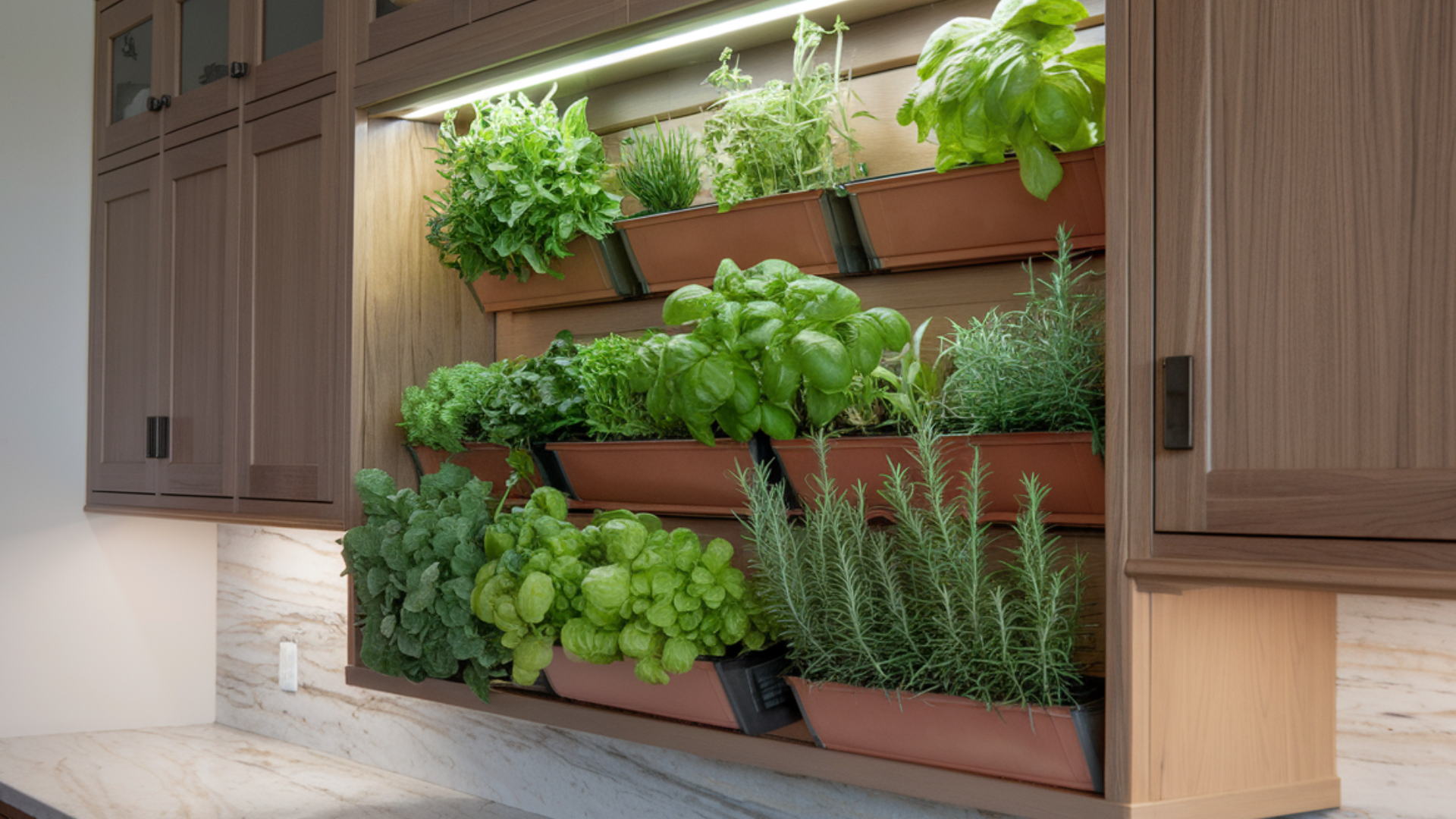 build-in-herb-garden