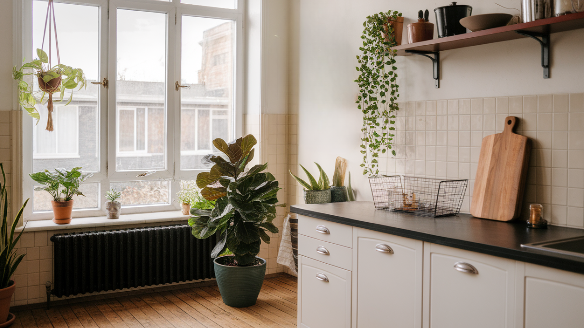 greenery-and-natural-elements-for-mid-century-kitchen