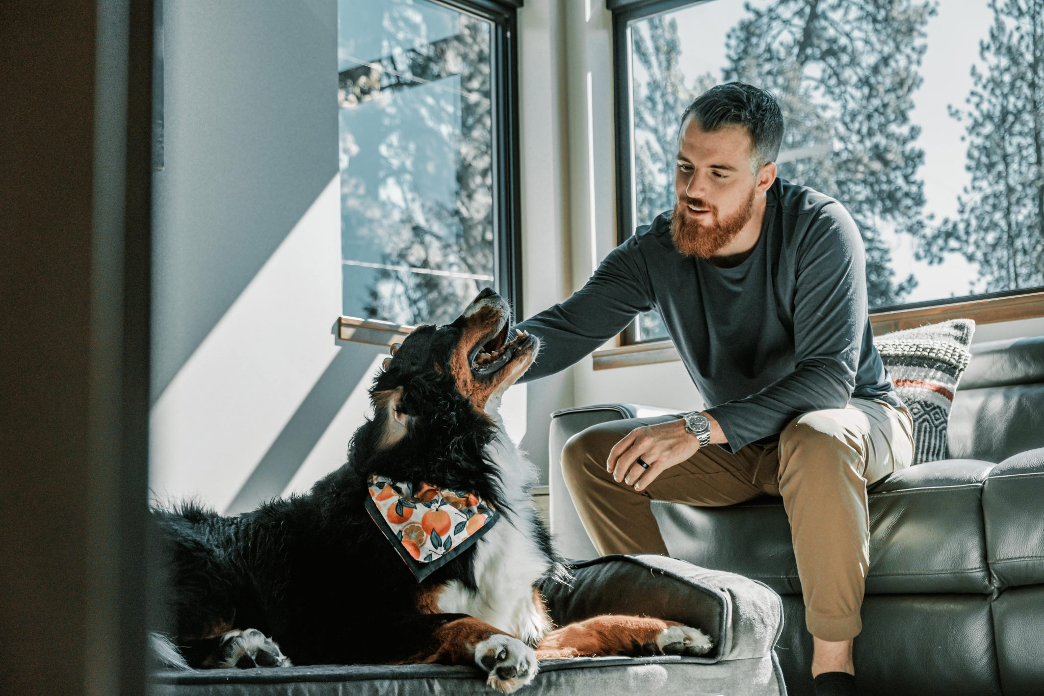 Ultimate Guide to Anxiety-Relief Chews for Dogs