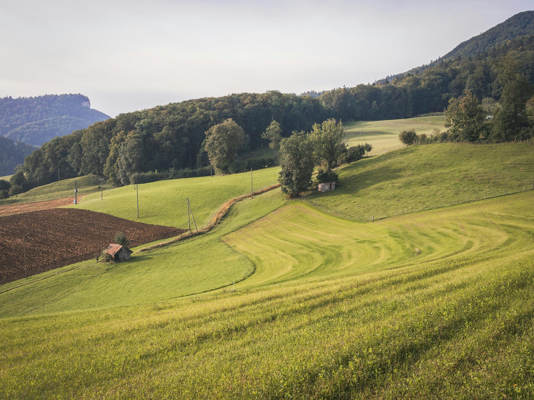 Most Common Misconceptions About Biofilm in Agriculture