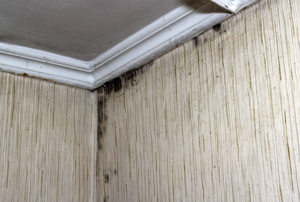 How to Protect Your Home from Water Damage Before It Starts