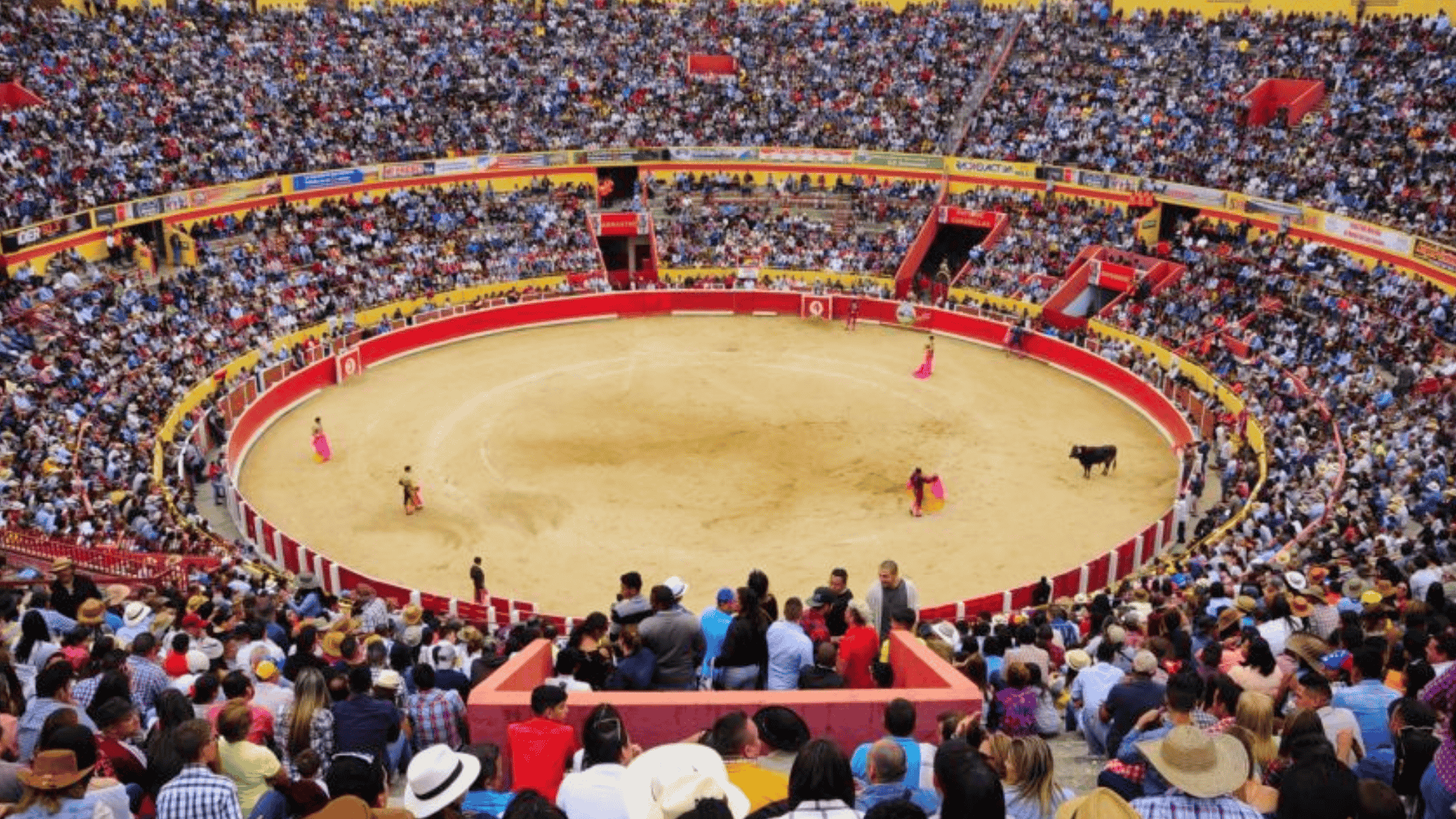 2 feria del sol in mérida