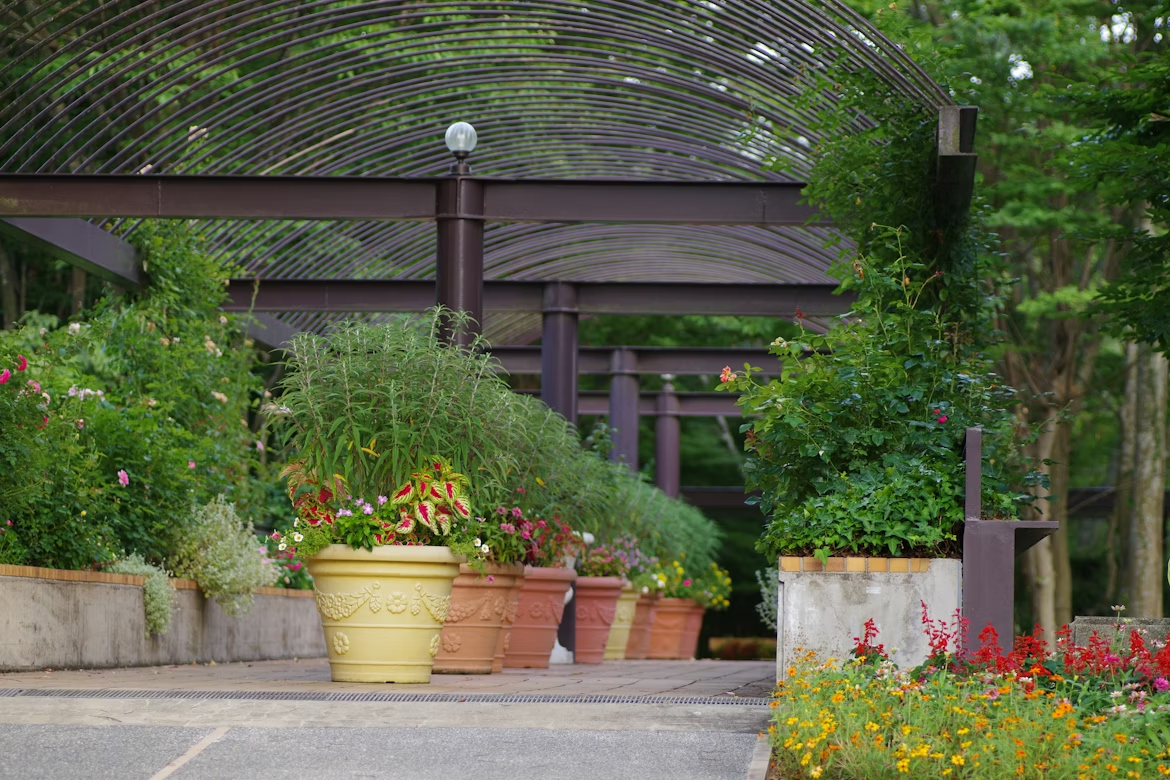Tips for Incorporating Vegetation Into Your Yard for an Eco-friendly Space