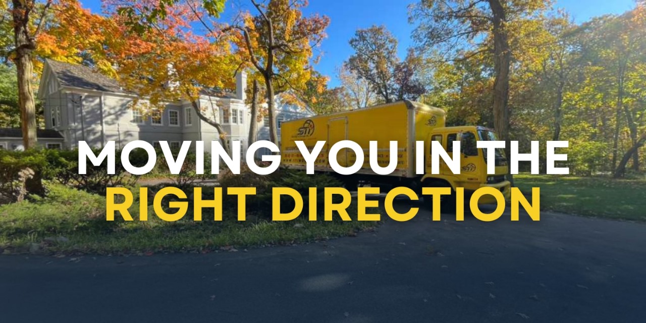 Where Every Move Finds Its Perfect Direction