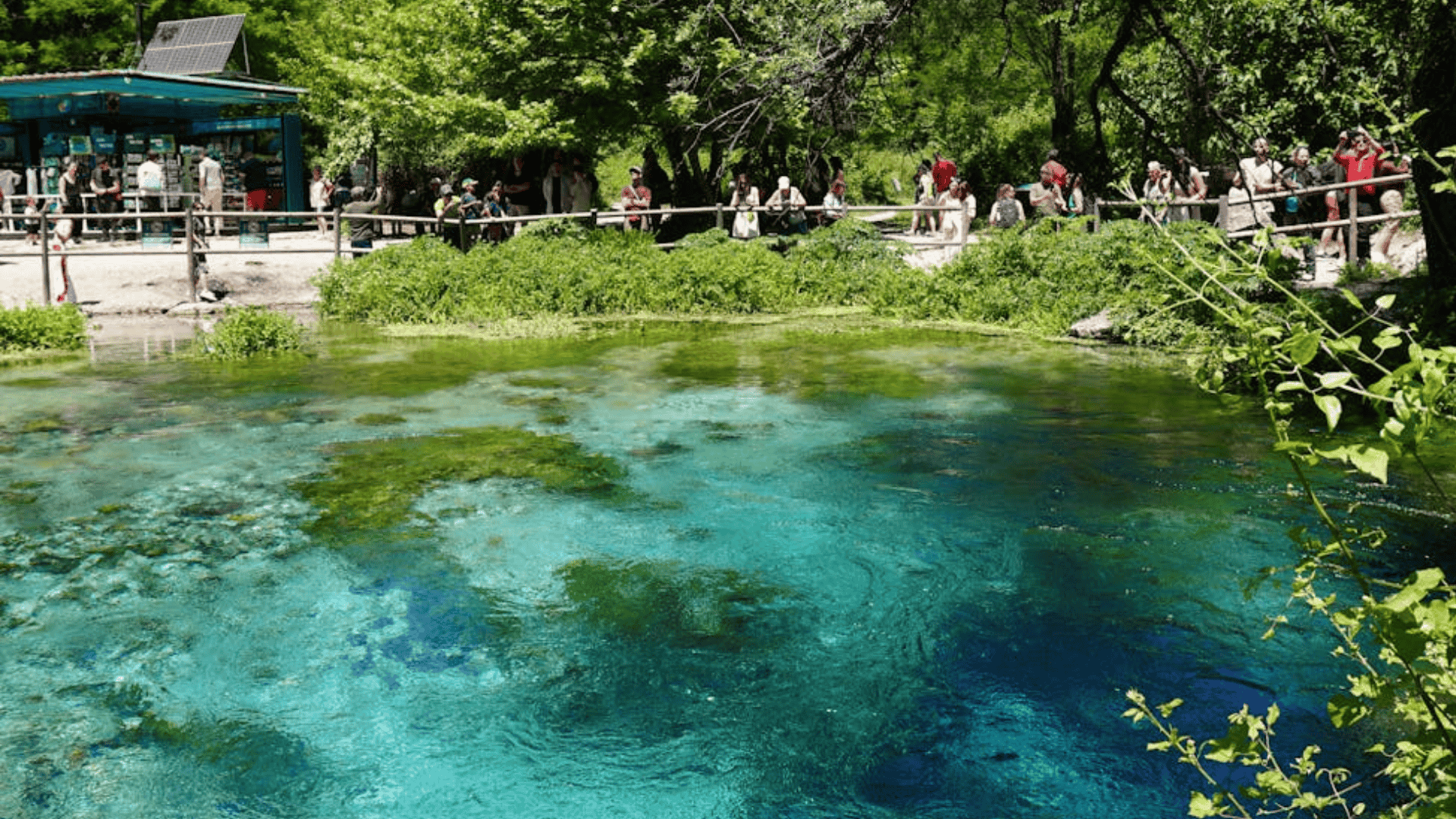 Why Pond Aeration Matters In the First Place