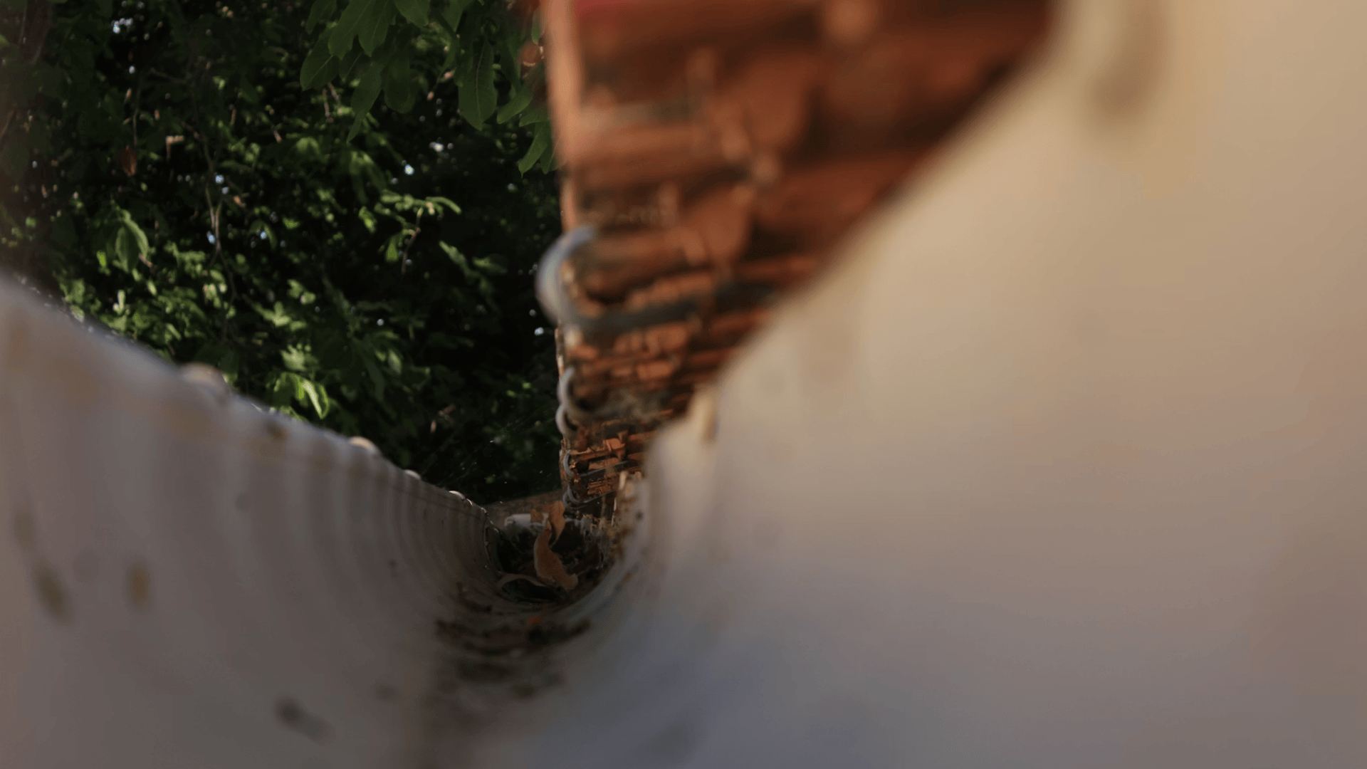 Gutter Cleaning Tips to Prevent Costly Damage