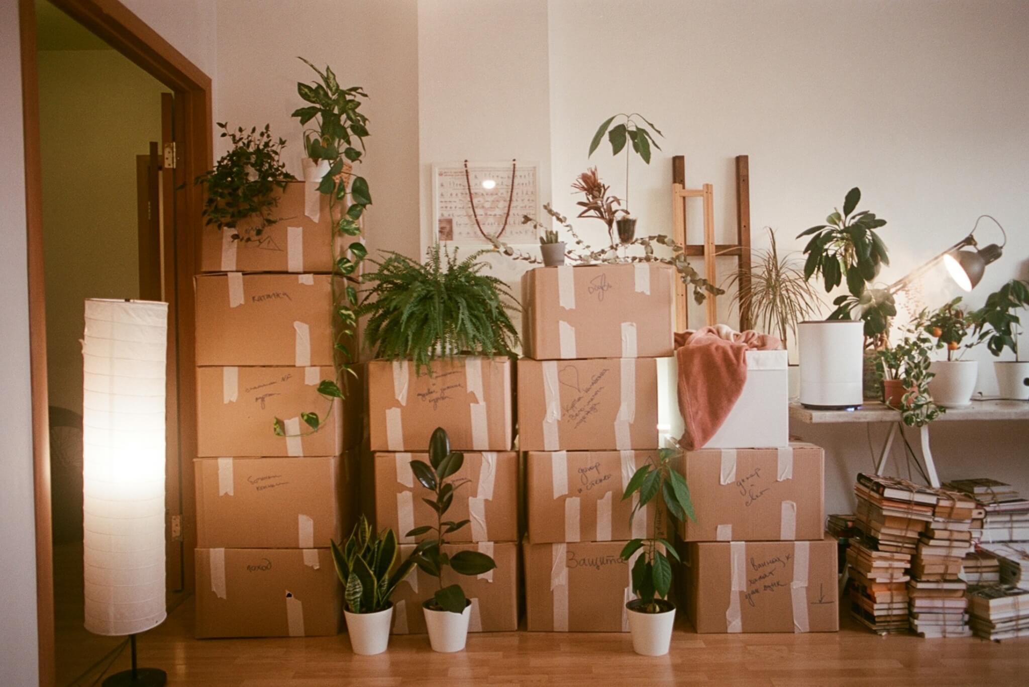 What’s the Top Apartment Moving Company in San Diego? 5 Options