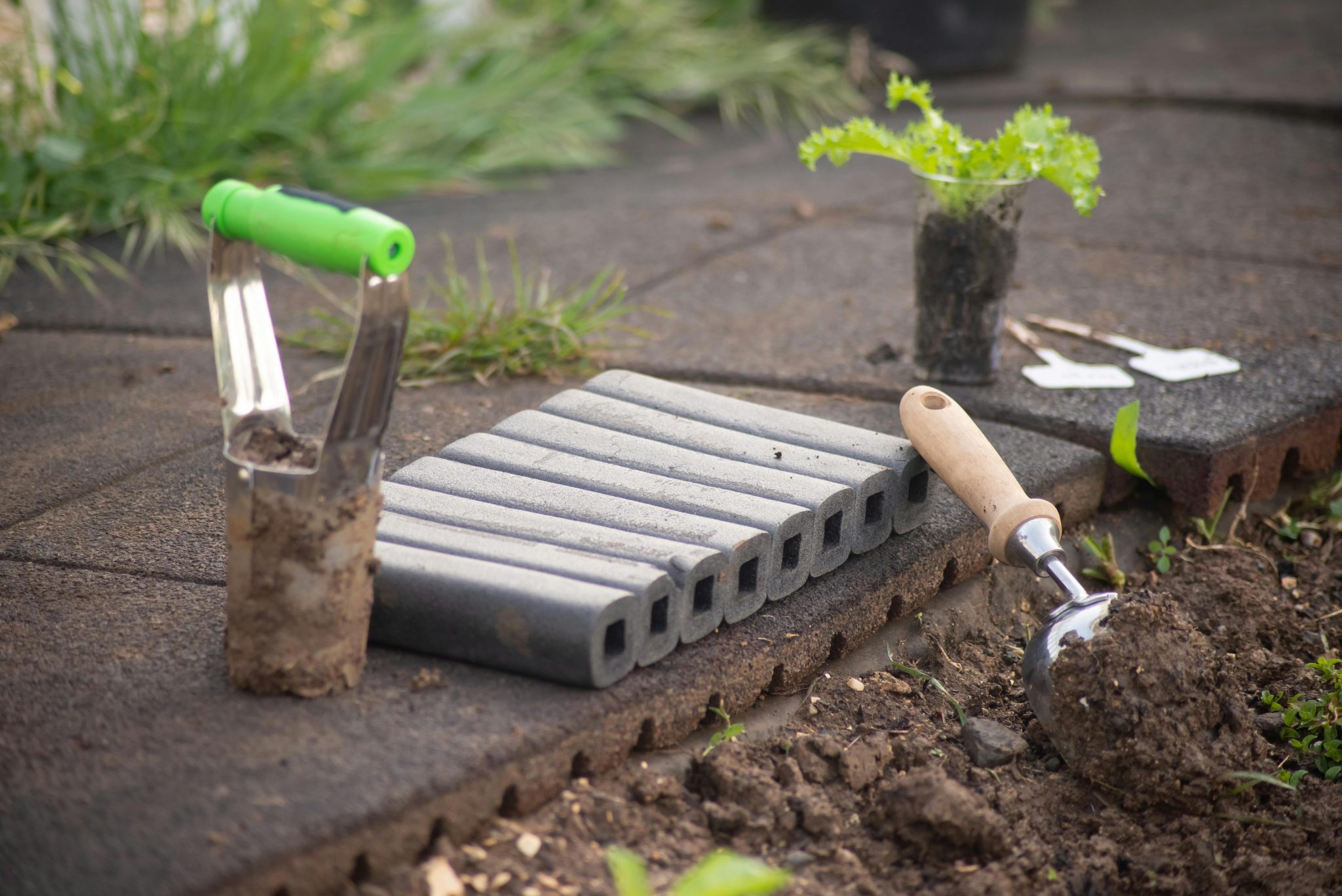 Essential Garden Tools That Mirror Your Home’s Personality