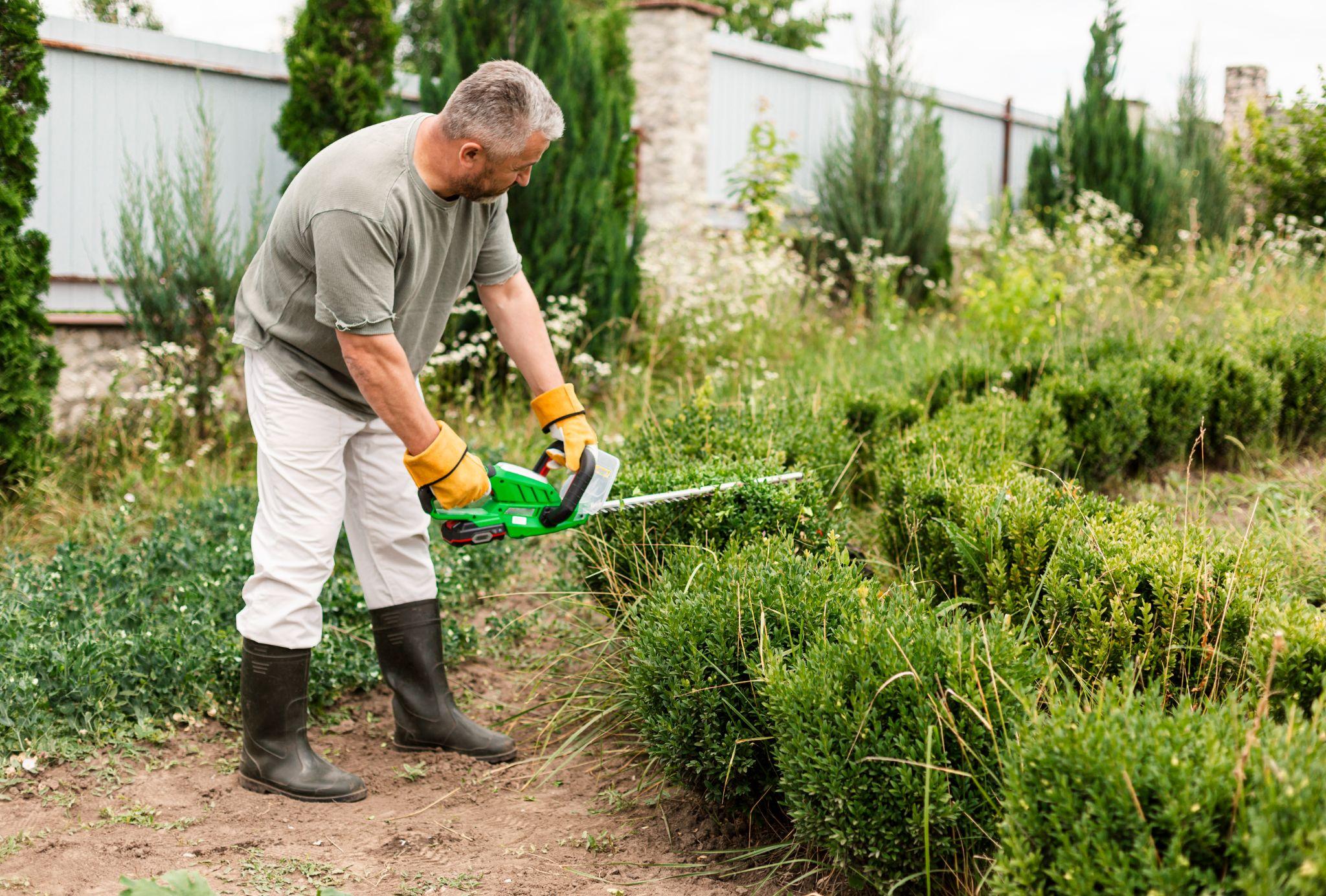 Common Mistakes People Make When Hiring a Landscaping Company, and How to Avoid Them