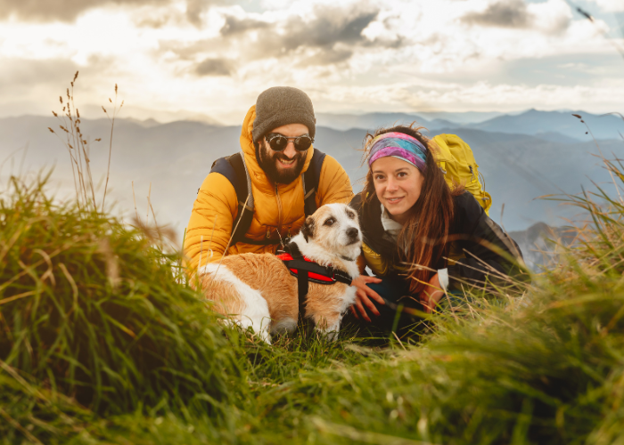 The Best Natural Dog Supplements for Adventure-Ready Pups in 2025