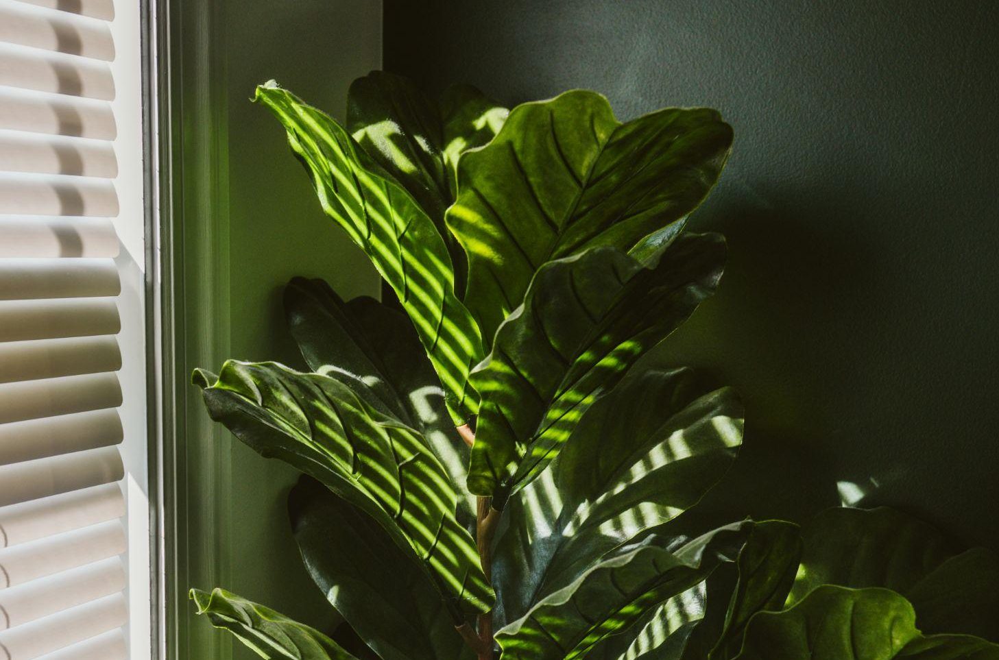 How to Measure Window Blinds: A Step-by-Step Guide for Renovations, Remodels & Custom Home Builds